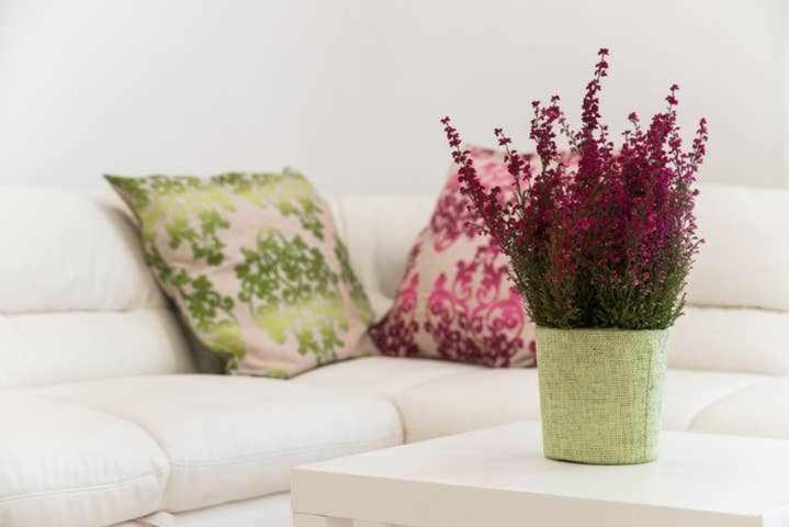 Mediterranean House Nettuno Apartment ภายนอก รูปภาพ